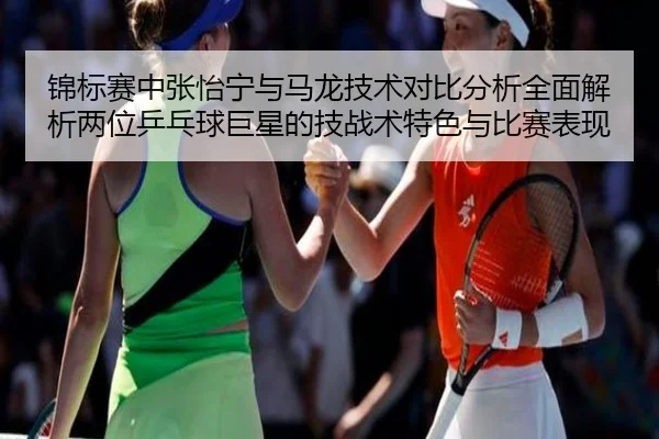 锦标赛中张怡宁与马龙技术对比分析全面解析两位乒乓球巨星的技战术特色与比赛表现