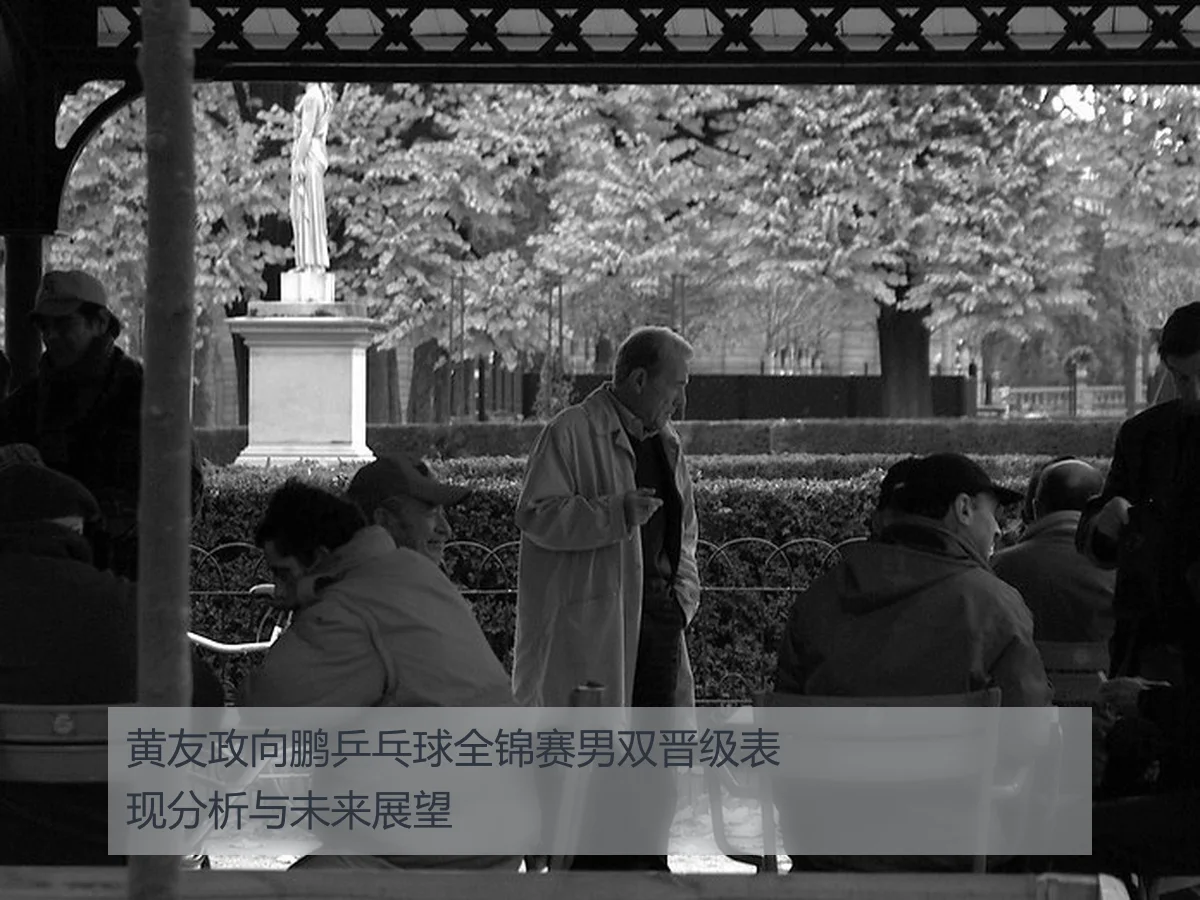 黄友政向鹏乒乓球全锦赛男双晋级表现分析与未来展望